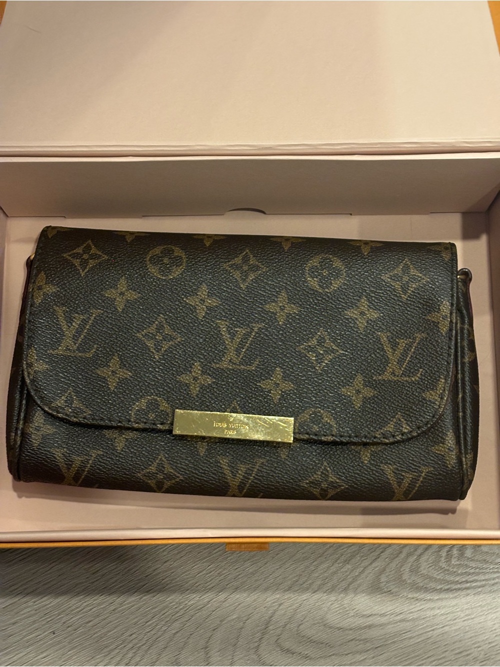 Louis Vuitton Favourite PM Monogram Bag